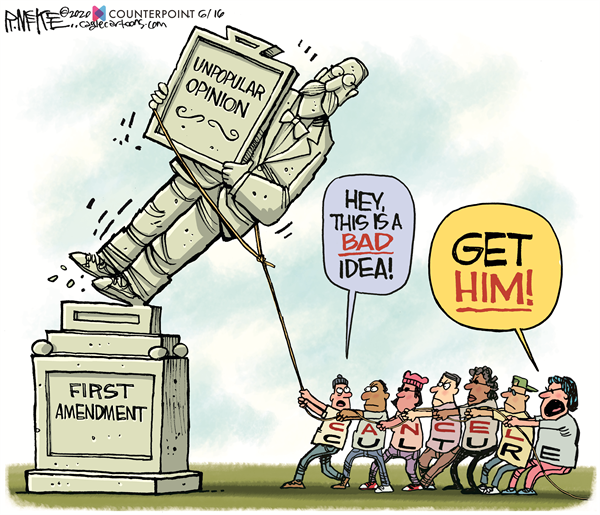 06232020 cartoon 3.png